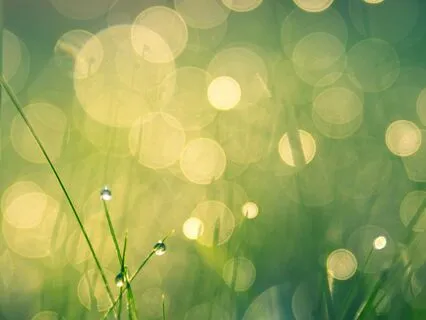 Divine Physical Healing