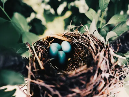 Divine Pregnancy and Birth Affirmations 