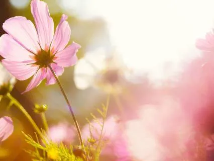 Divine Presence: Return To Presence