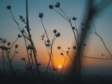 Divine Presence – Sound Bath