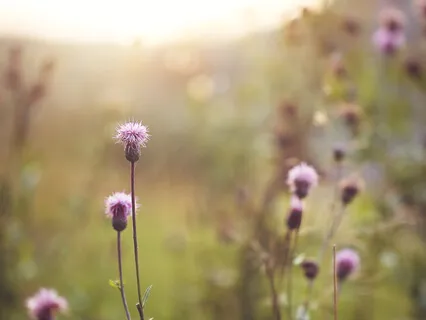 Divine Release Of Pain & Stress