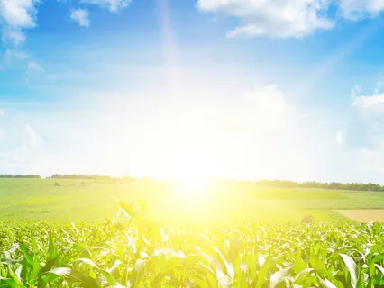 Divine Release (Powerful Practice)