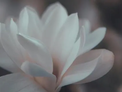 Divine Sleep & Rest Meditation (Extended Music)