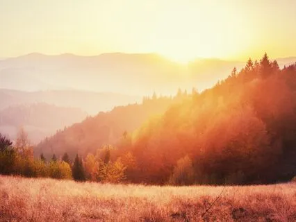 Divine Surrender: Aligning With The Highest Good