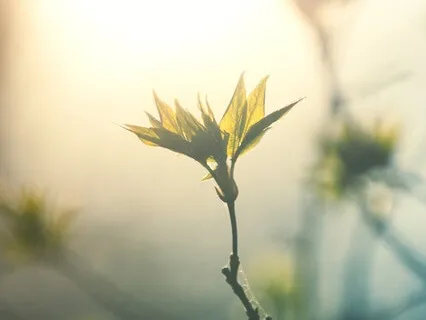 Divine Timing Affirmations | Flow With The Universe