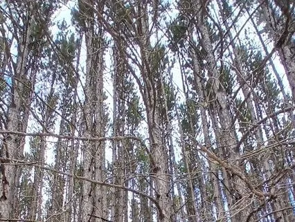 Divine Timing, Intuitive Healing