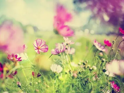 Divine Timing: Trusting The Flow Of Life