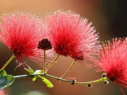 Divine Touch – A Journey To Yourself