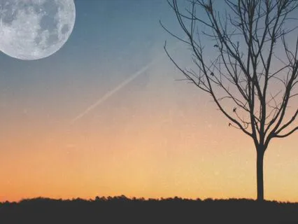 Divine Transformation