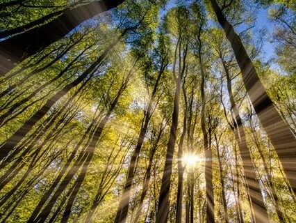 Divine Trinity Practice