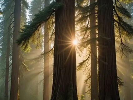 Divine Union And Intuition