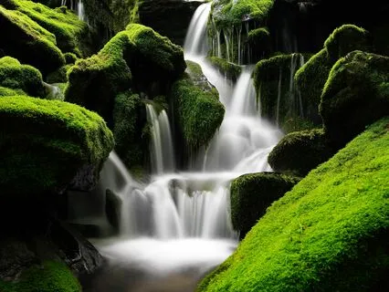 Divine Union I - Kamele N'goni & Voice