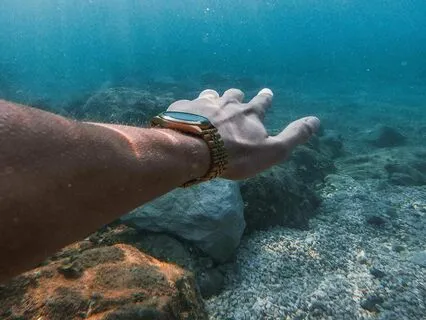 Diving Into Harmonic Serenity