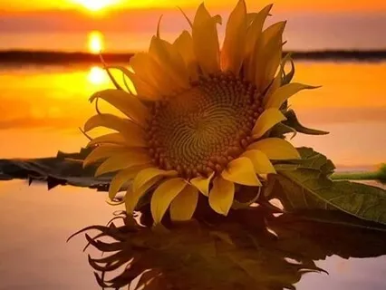 Dizendo Sim e Liberando o Medo