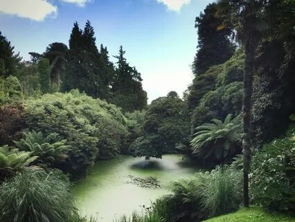 DMT Psychedelic Mind Flow Breath Combo For Clarity 3 Rounds