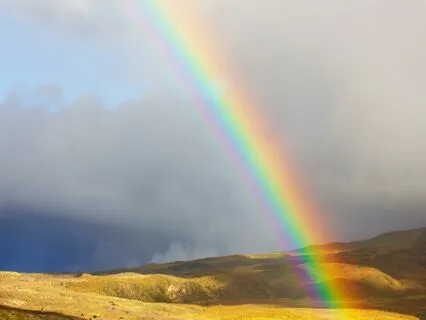 DNA Repair 528Hz | Manifestation Frequency Tones