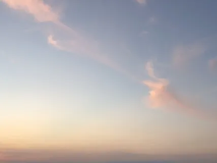 Do Androids Dream Of Savasana