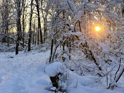 Do I Make The Same Resolutions Year After Year?