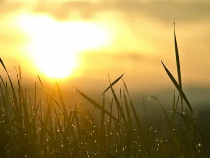 Do Make-Up And Cosmetic Procedures Help Keep Us Safe?