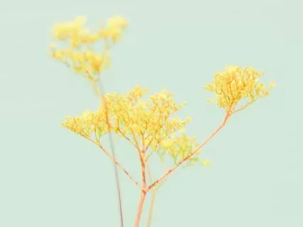 Do Not Engage With Your Mind