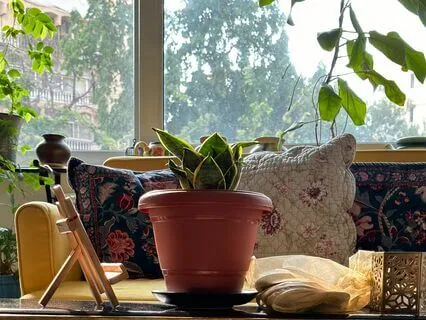 Do Not Succumb To Rejection. No One Gets To Leave You Out.