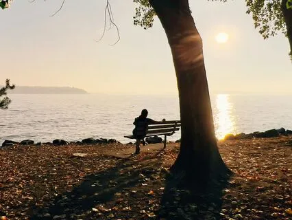 Do Nothing: Awareness Meditates You