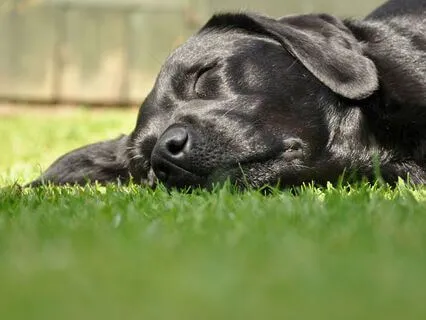 Do Nothing: Relaxing The Grip On Control