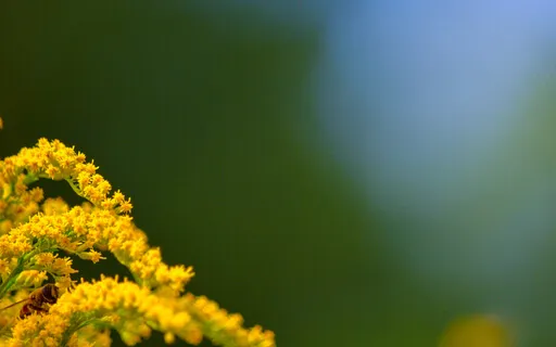 Do Something Every Single Day