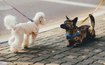 Do This To Feel More Connected To Others