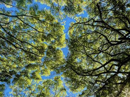 Do This To Quiet Your Mind