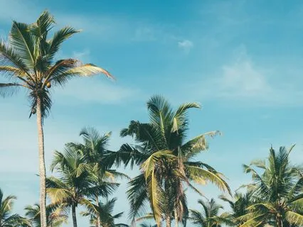 Do This When Life Challenges You!