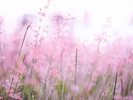 Do What Is Right Not What Is Easy