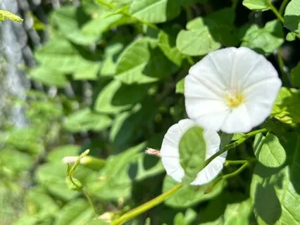 Do What You’re Doing When You’re Doing It