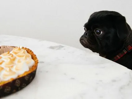 Do You Even Want That? (Refining Your Desires)