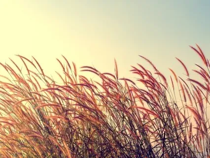 Do You Have The Time? |A Nice Nighttime Meditation|