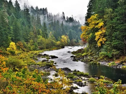 Need A Little Bit Of Grounding? Let's Talk!