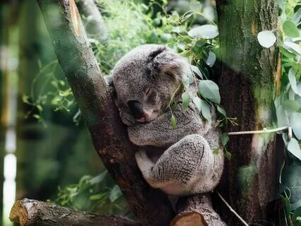 Do You Need An Attitude Adjustment Or A Nap?