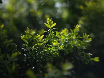 Do You Practice To Wake Up From Sleep, What Is Awakening