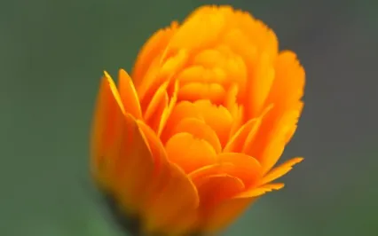 Do You Really Need To Be Special?