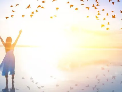 Do You Want Comfort Or Freedom?