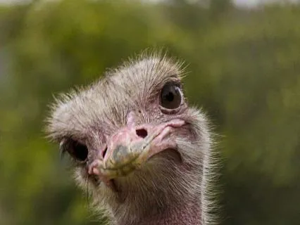 Do You Want To Buy Into The Story - # 1