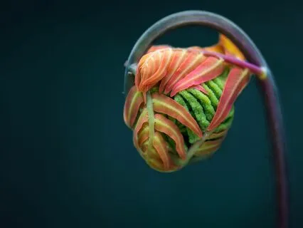 Do You Want To Live An Aware Life?