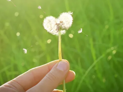 Доброта к себе: метод визуальных образов