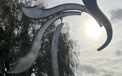 Does Age Rule Your Life?