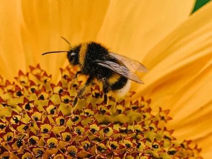 Does Your Biz Energy Attract Or Repel Your Ideal Clients?