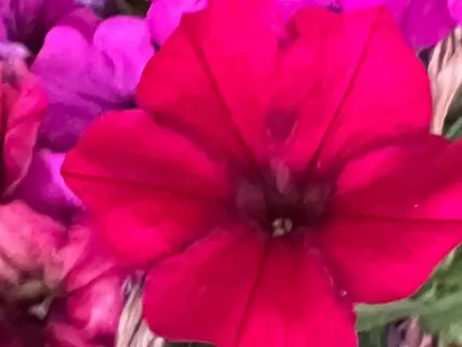 Doing A Deep Meditation Together