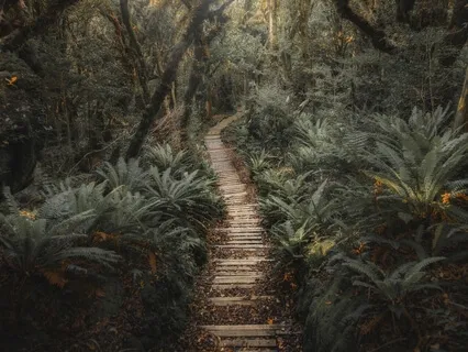 Doing And Happening Om