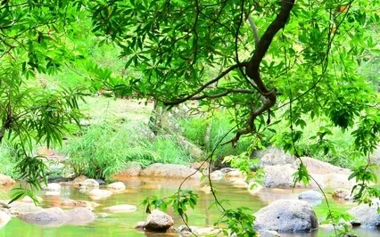 Doing Life Your Way Creates Calm
