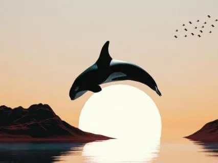 Dolphin Dreams: Deep Sleep For Insomnia & Anxiety (8 Hours)