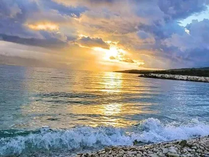 Dolphin Magic Meditation